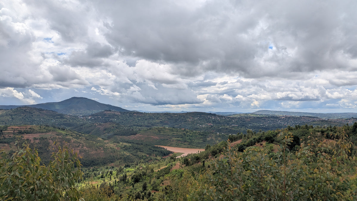 Rwanda GISHAMVU 100G