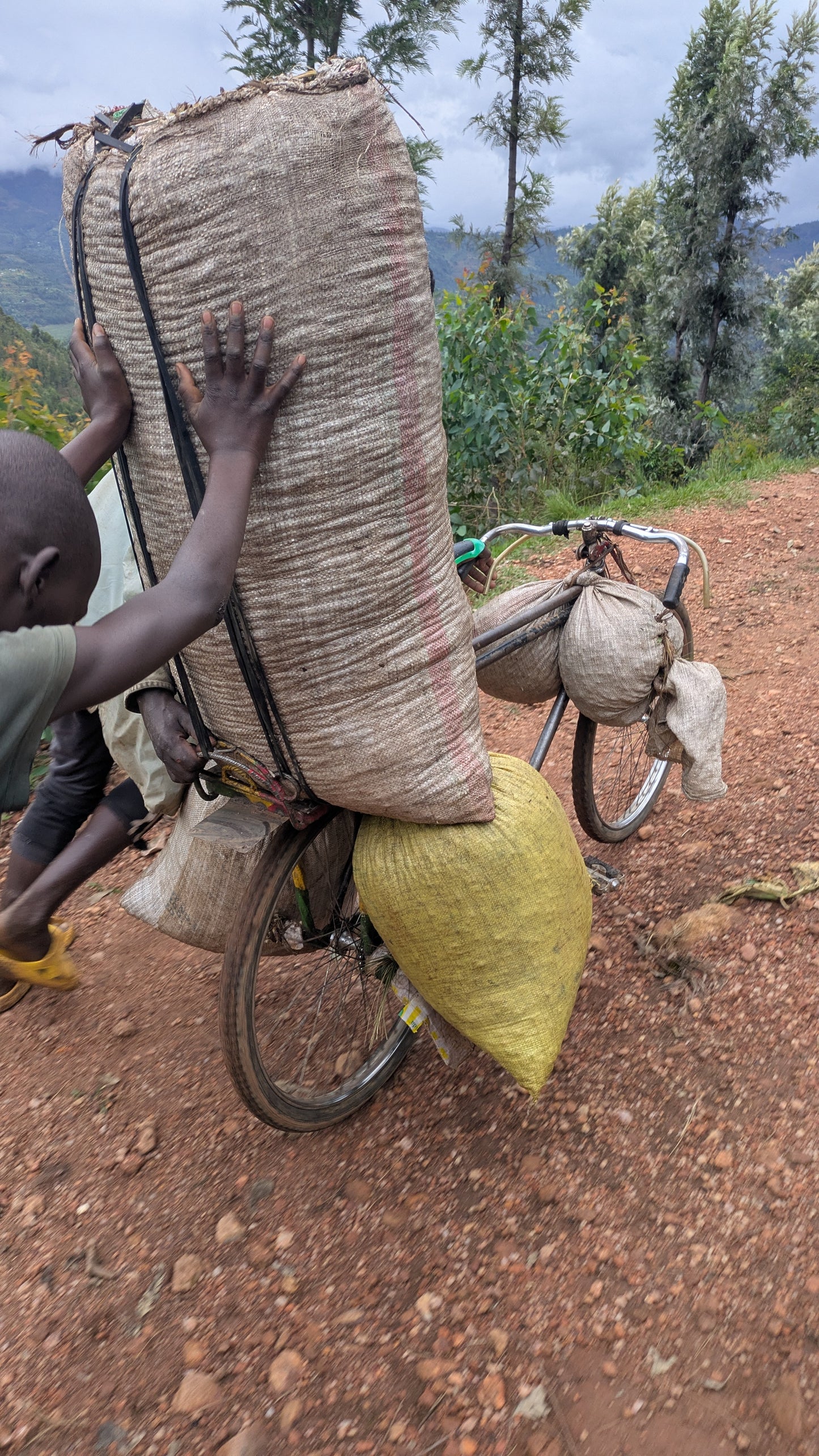 Rwanda Sovu 100g