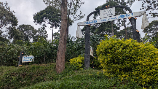 Rwanda Gako 100g