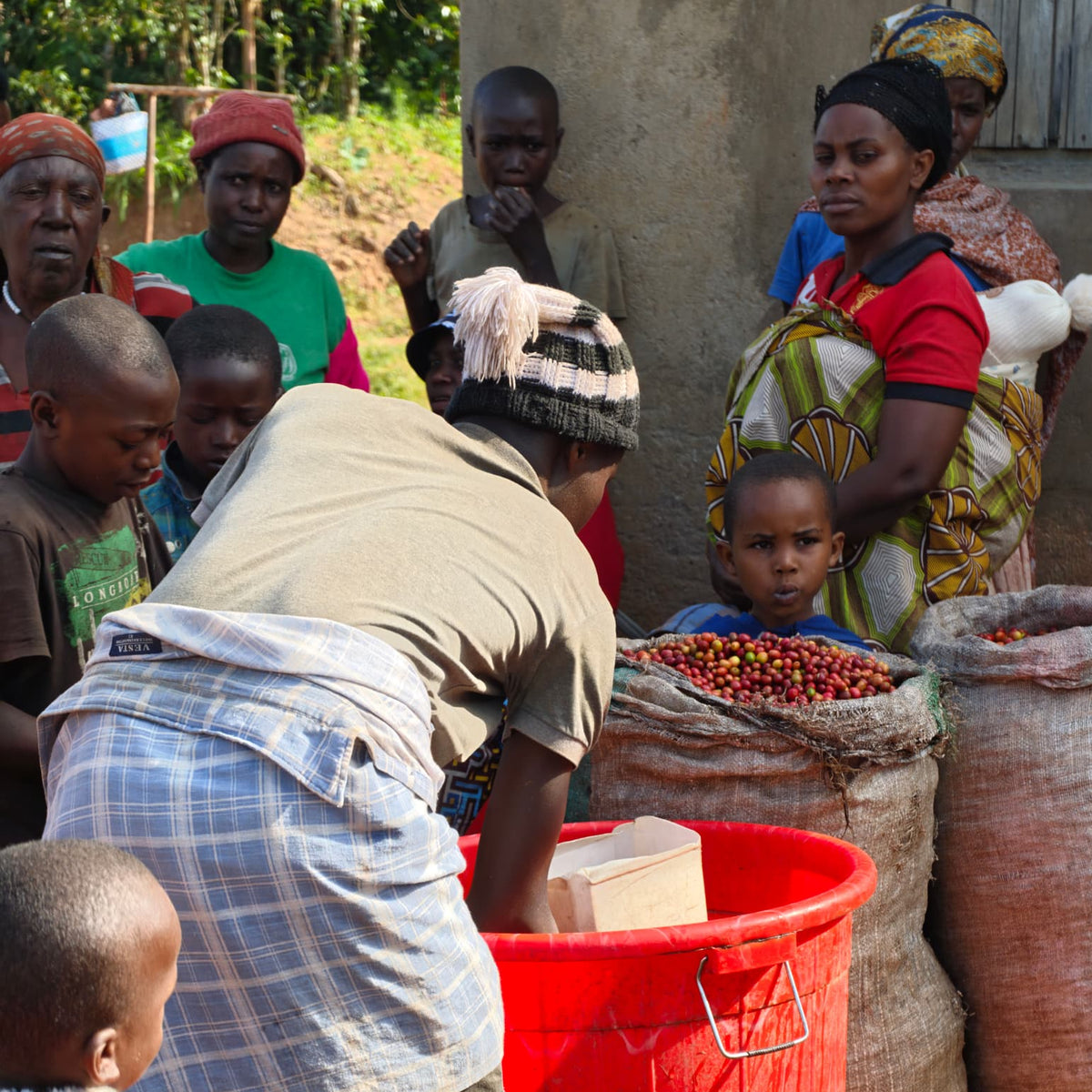 Rwanda RWAMWERU 100G