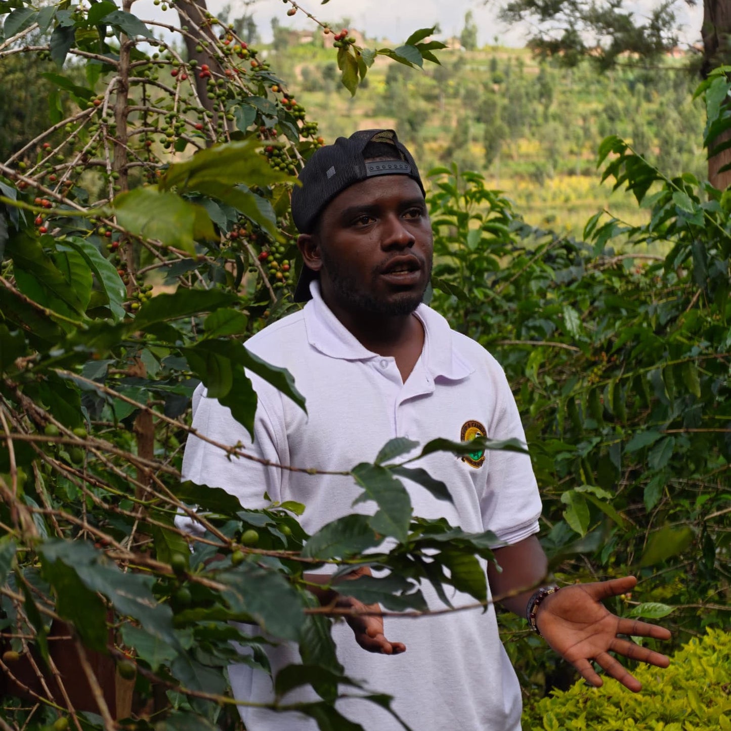 Rwanda GAKO 100G