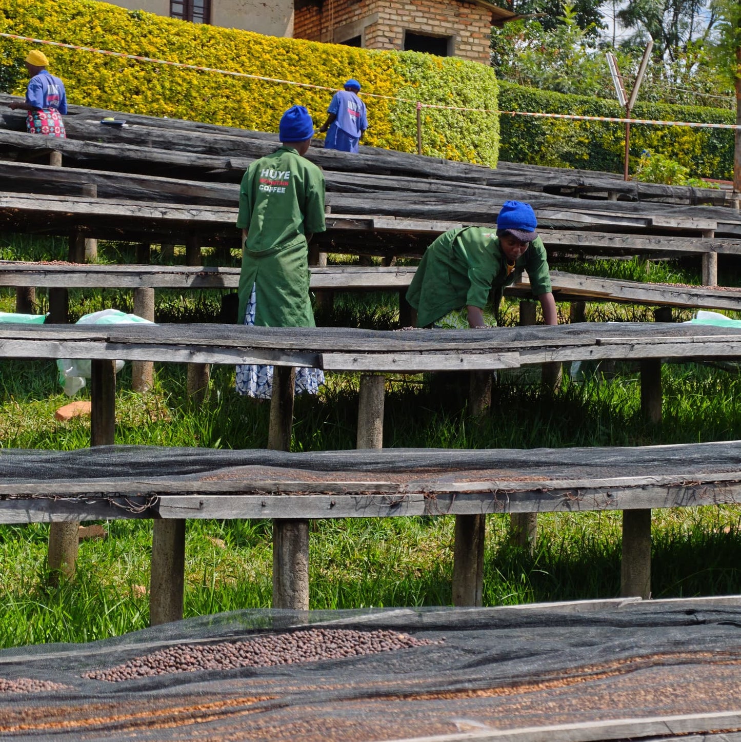 Rwanda GAKO 100G