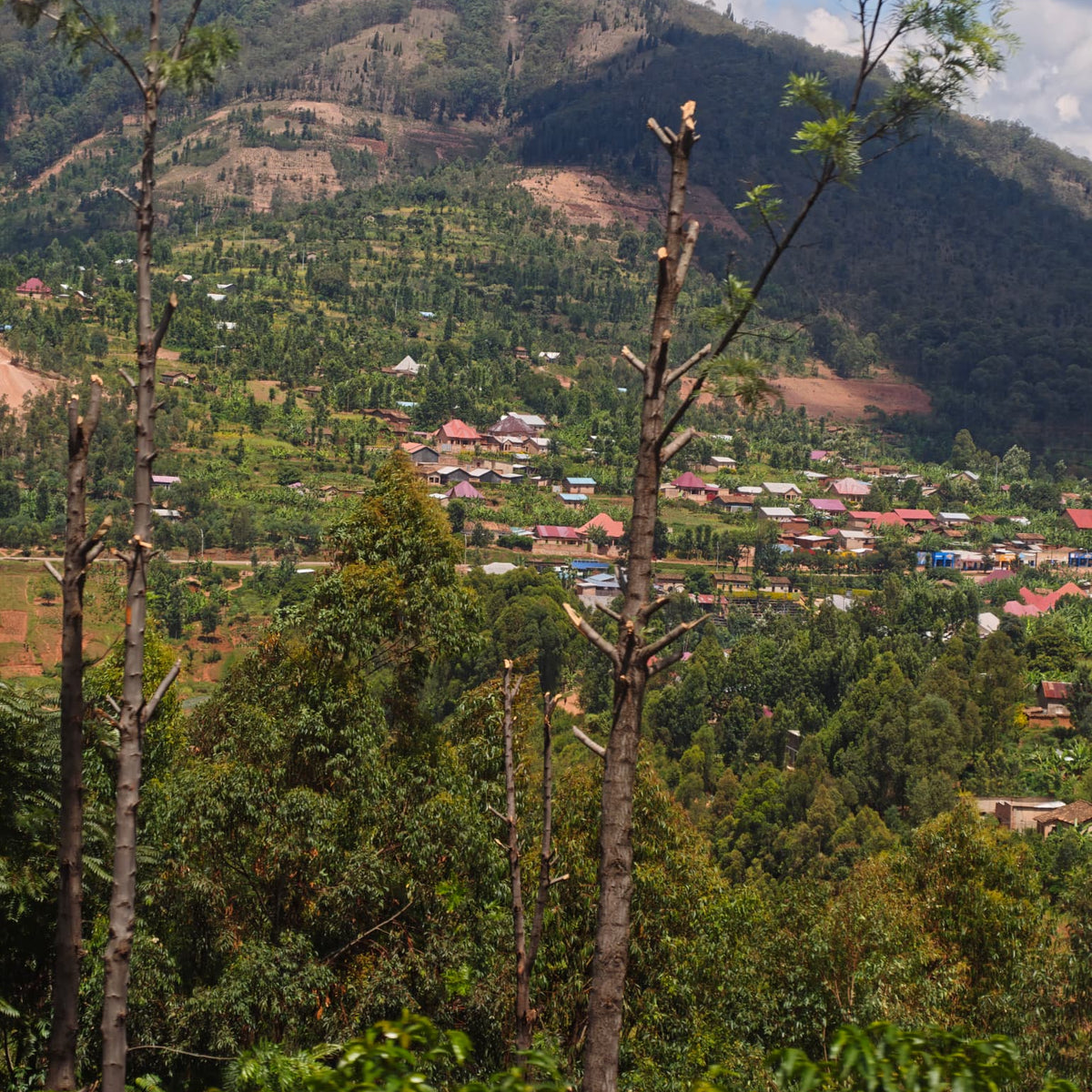 Rwanda RWAMWERU 100G