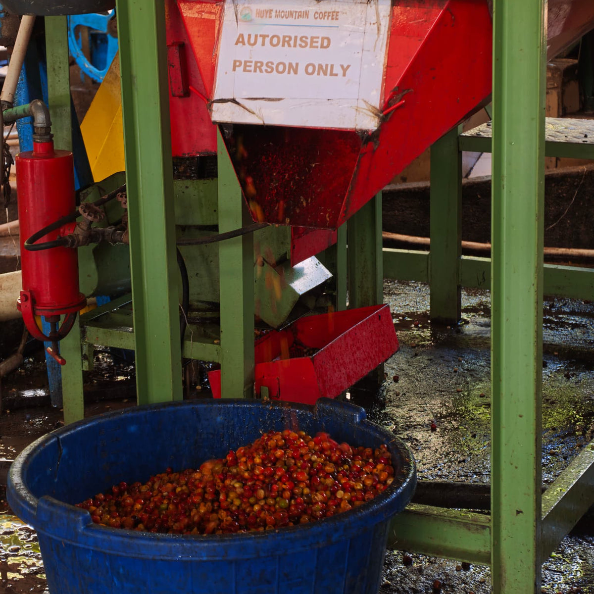Rwanda RWAMWERU 100G