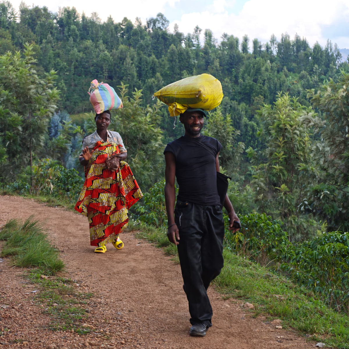 Rwanda GISHAMVU 100G
